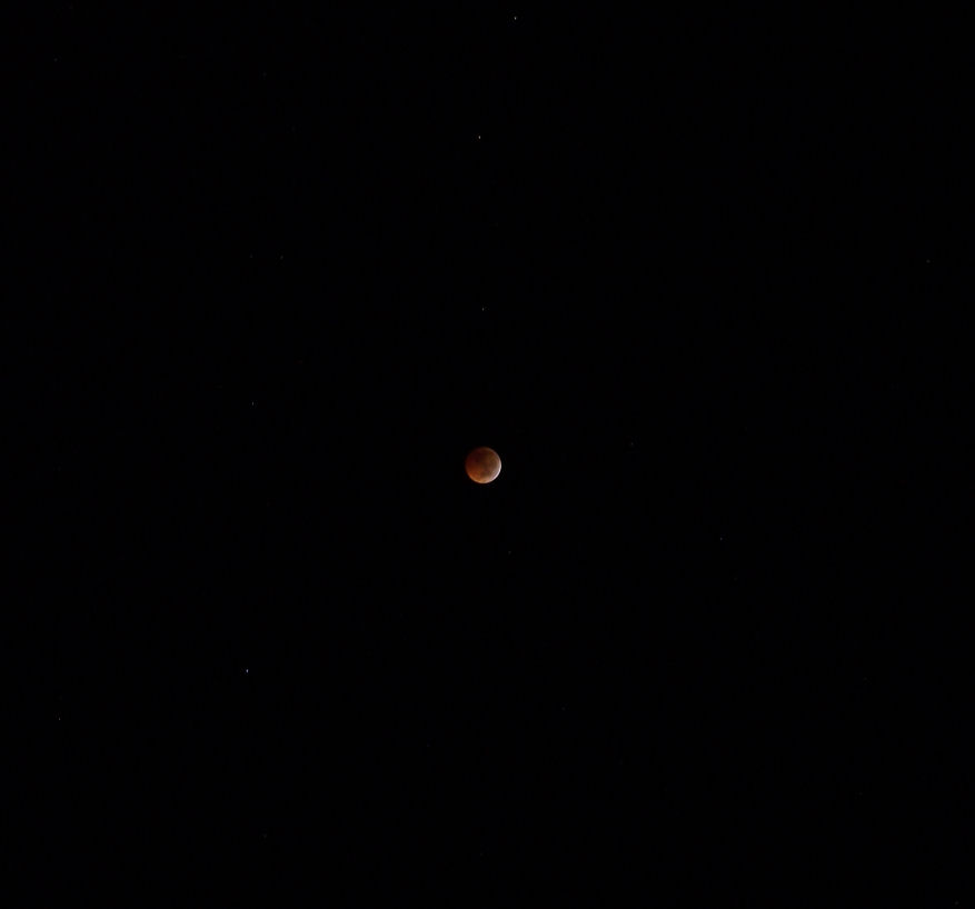lunar eclipse dec21-2010e (25K)