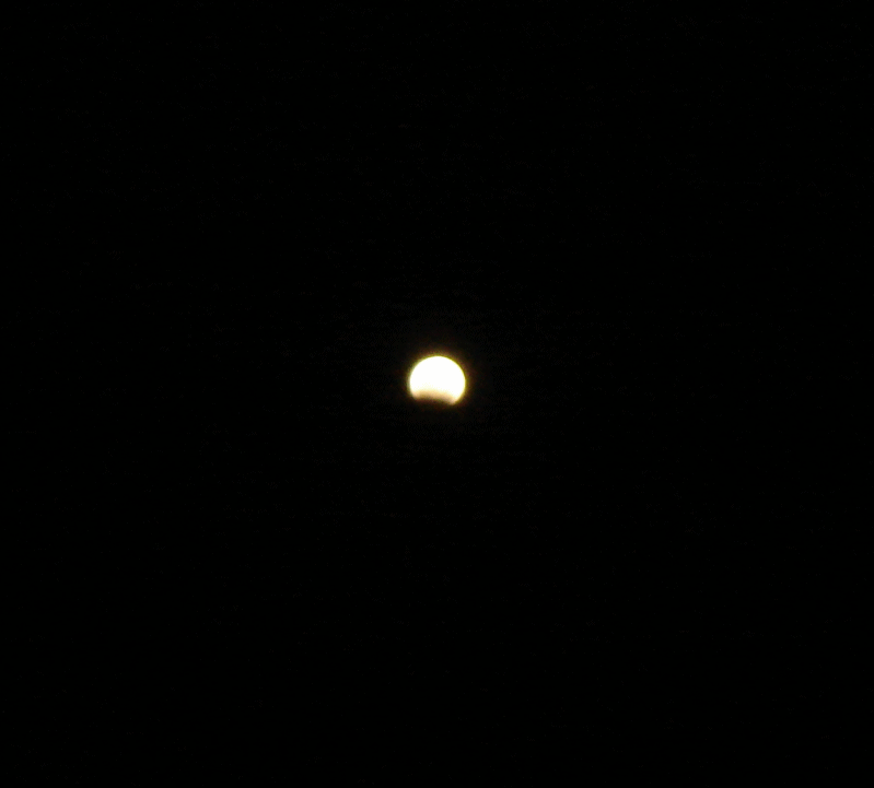 lunar eclipse feb20-08 (75K)